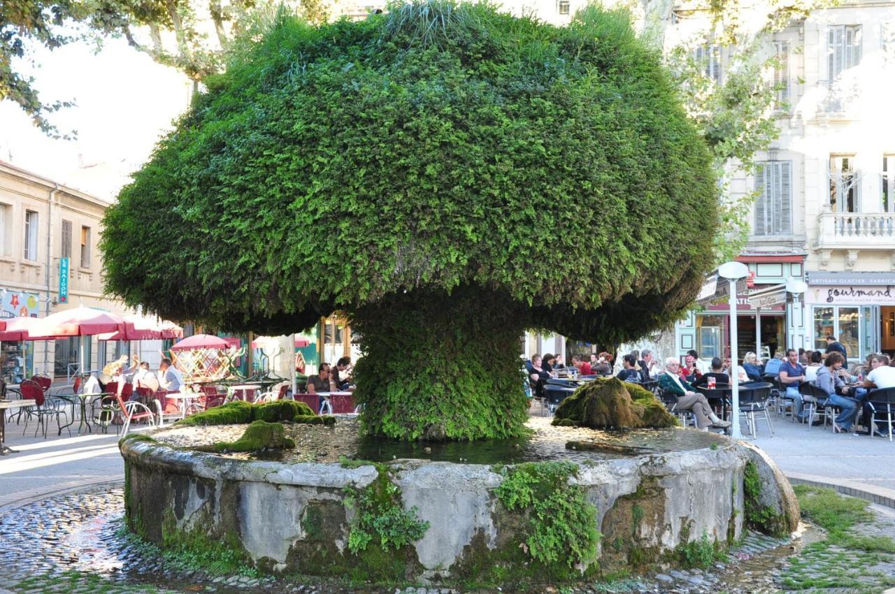 La Pause Salonaise "Au Coeur De La Ville" ภายนอก รูปภาพ